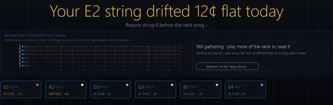 The end-of-session tuning note, reporting which string drifted and by how much.